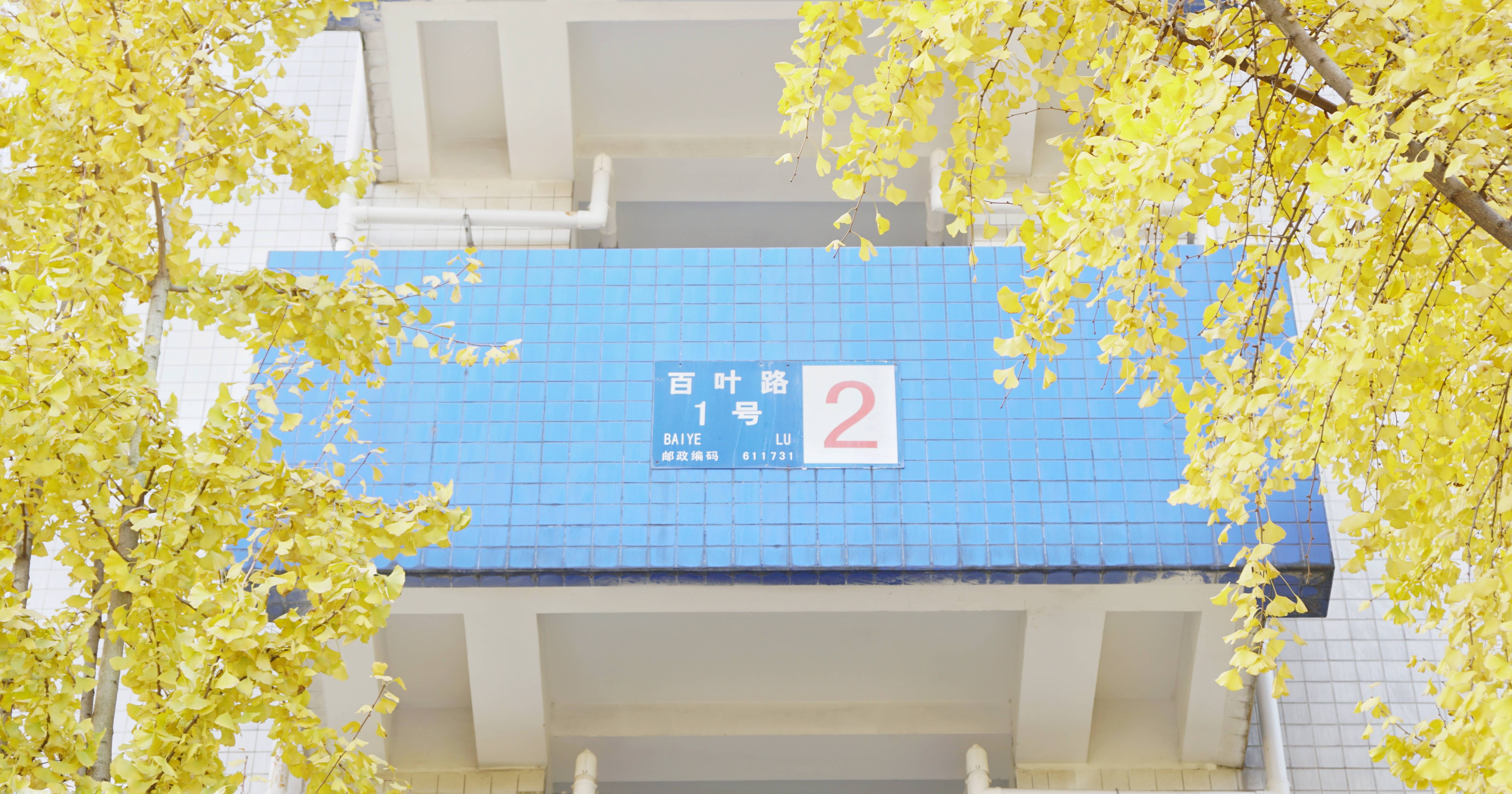 学工处