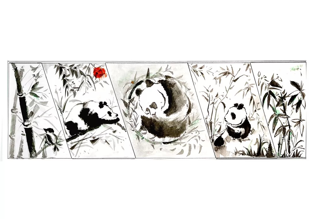 无法加载