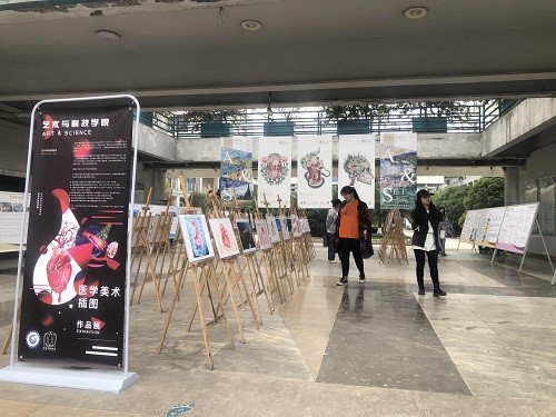 无法加载