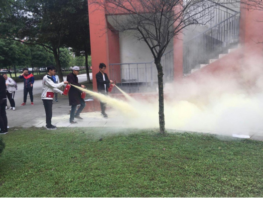 无法加载
